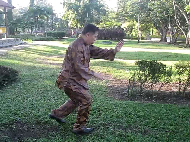 Sun Style Taijiquan